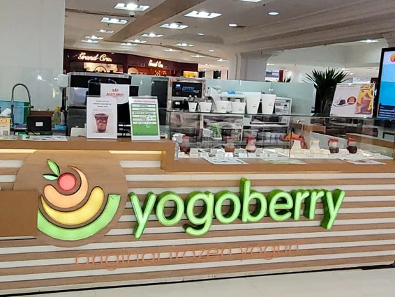 Yogoberry 4-1726246018307.jpg